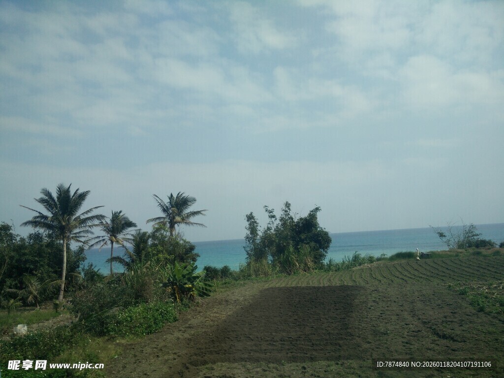 海边乡间小路风景