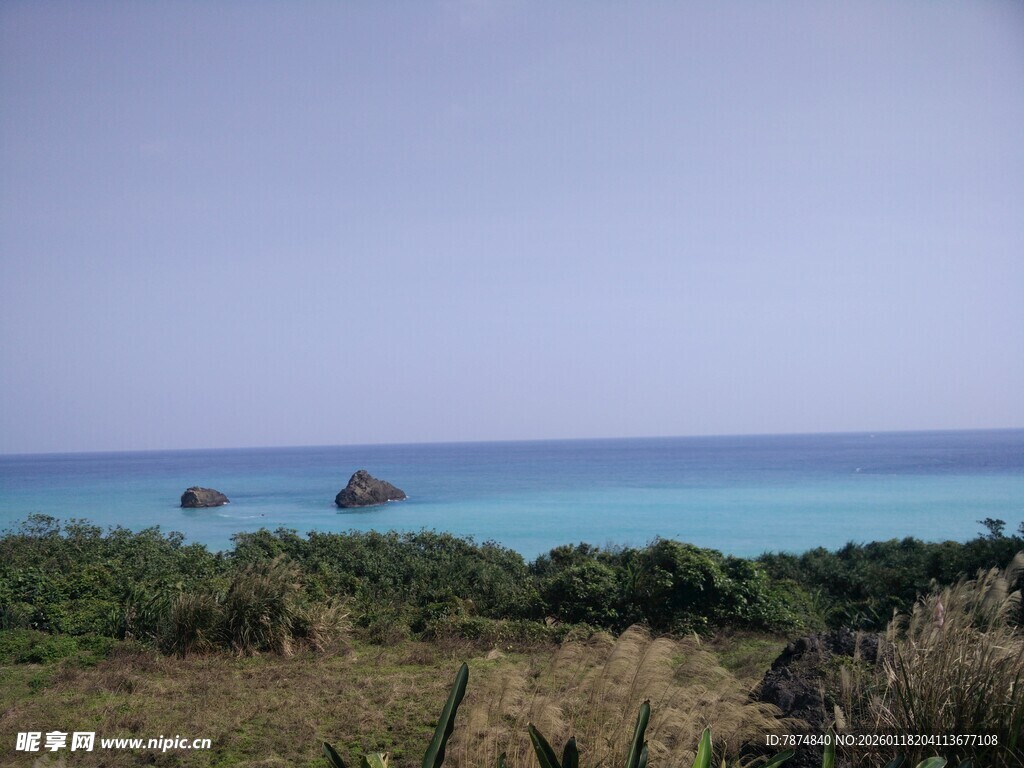 海边景致 远岛近草