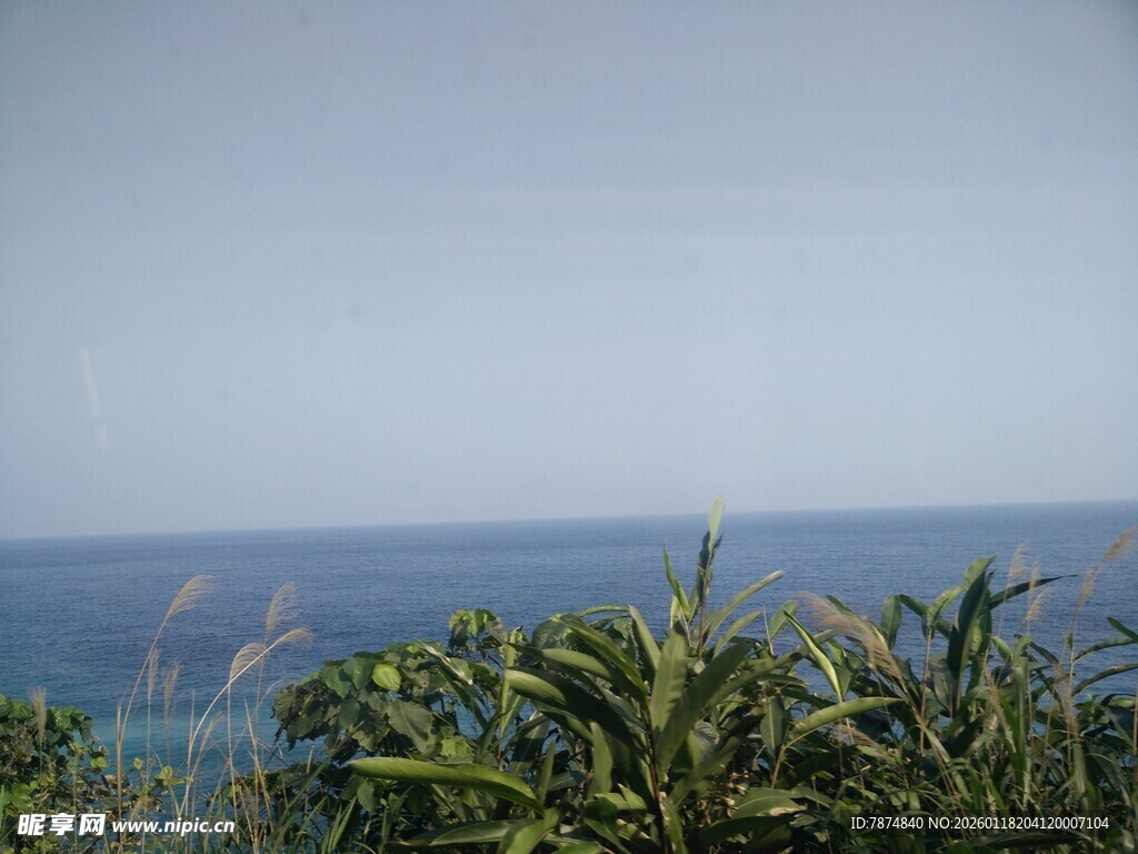 海边绿植与辽阔海景