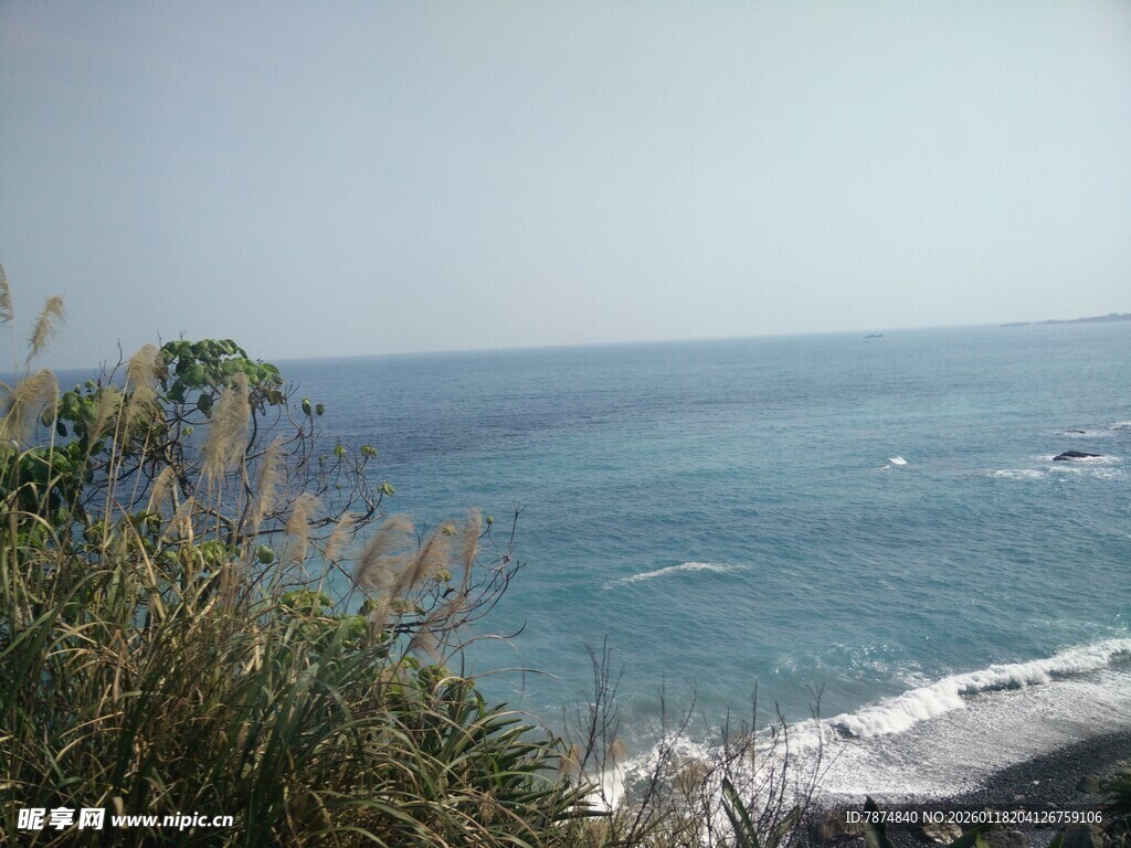 海边景致 绿植伴海浪