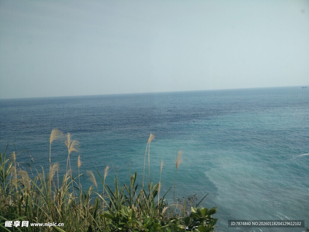 海边景致 绿植伴碧海蓝天