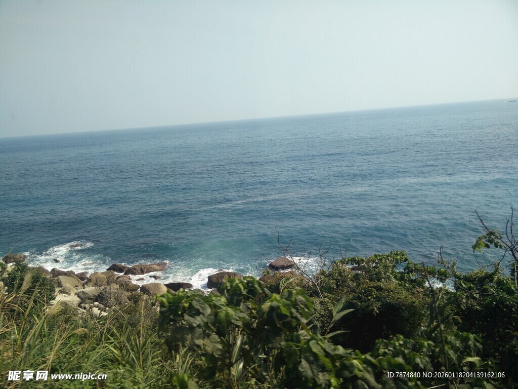 海边绿意盎然的美丽景致