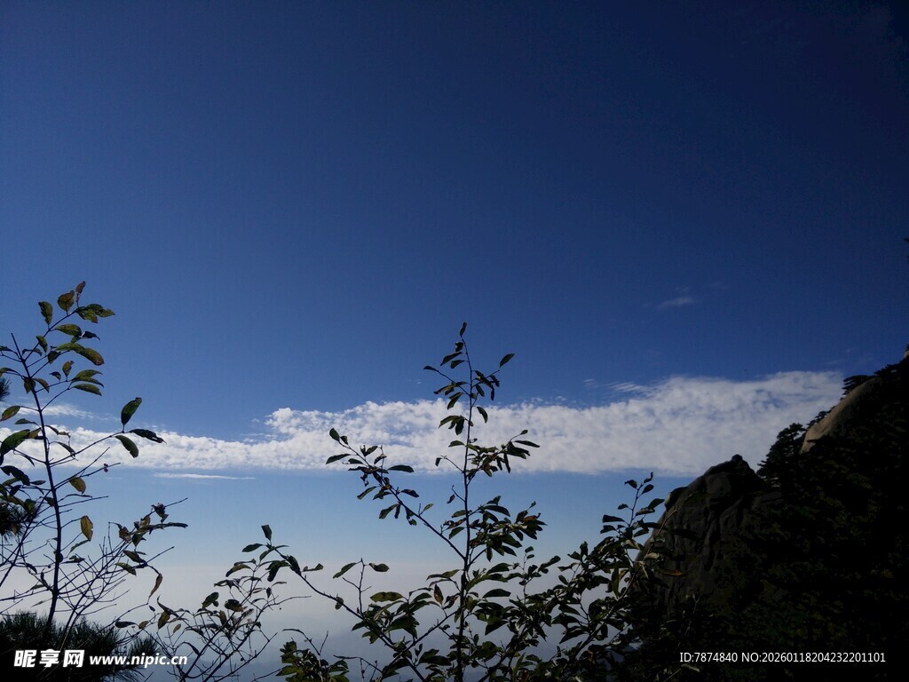 蓝天绿树间的云端美景
