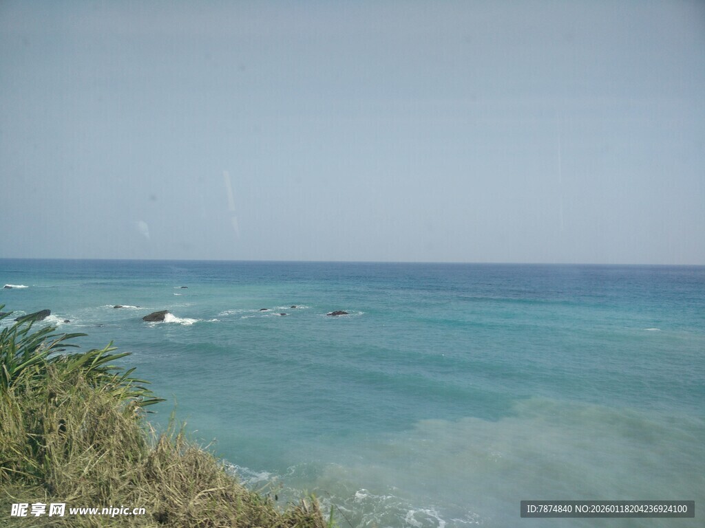 海边美景 碧蓝海水与绿植