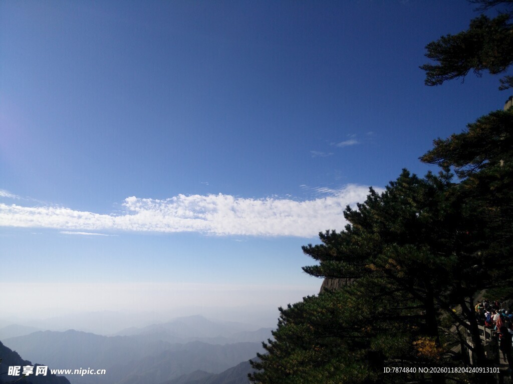 山顶远眺蓝天云海松林
