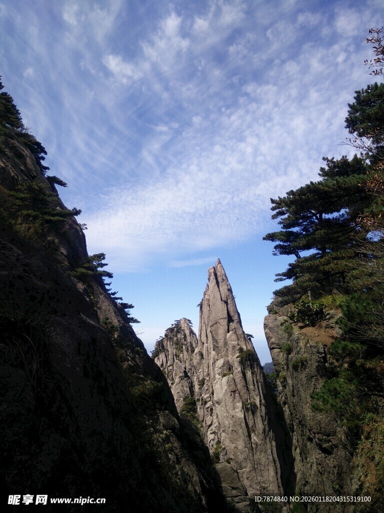 黄山奇峰与苍松景观