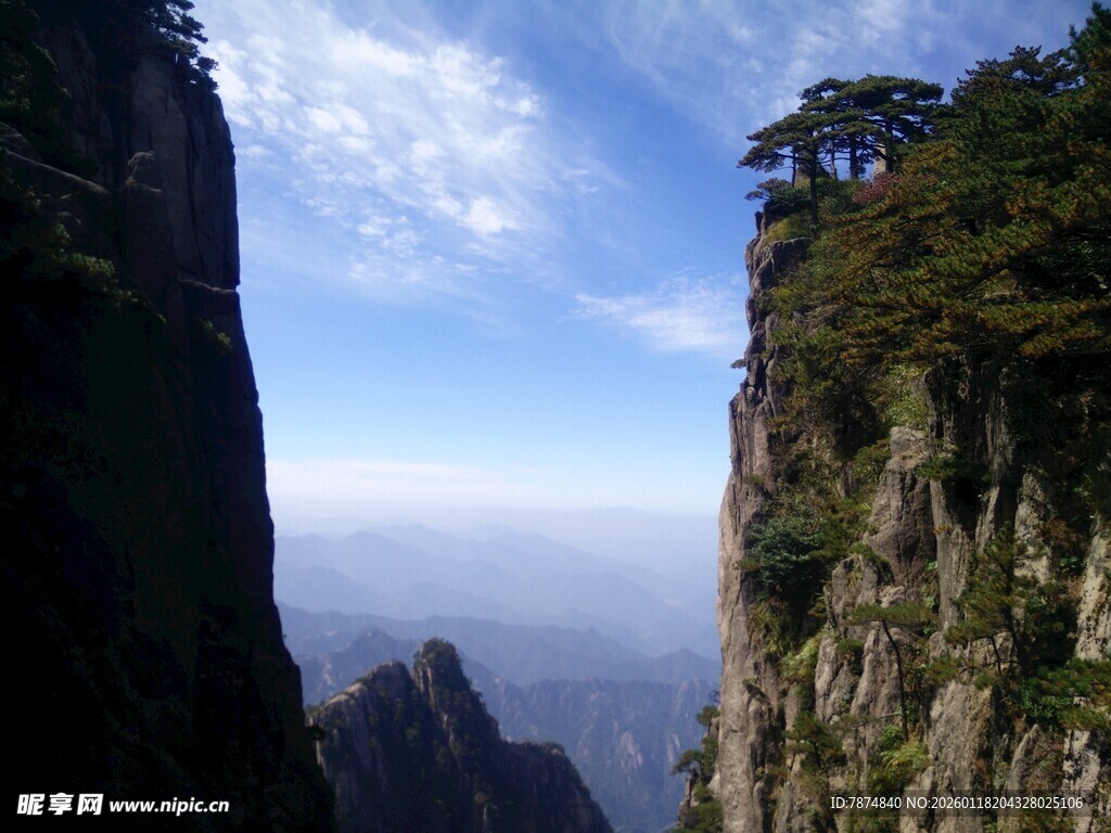 巍峨山峰上的挺拔青松