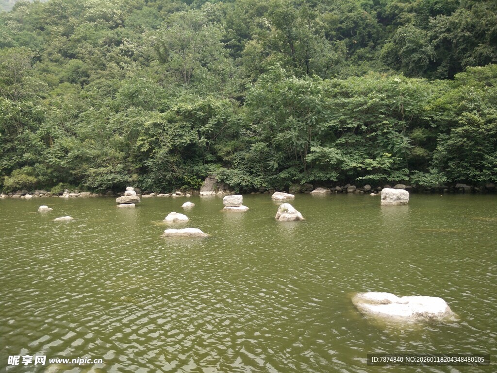 湖面上的白色石块与绿树