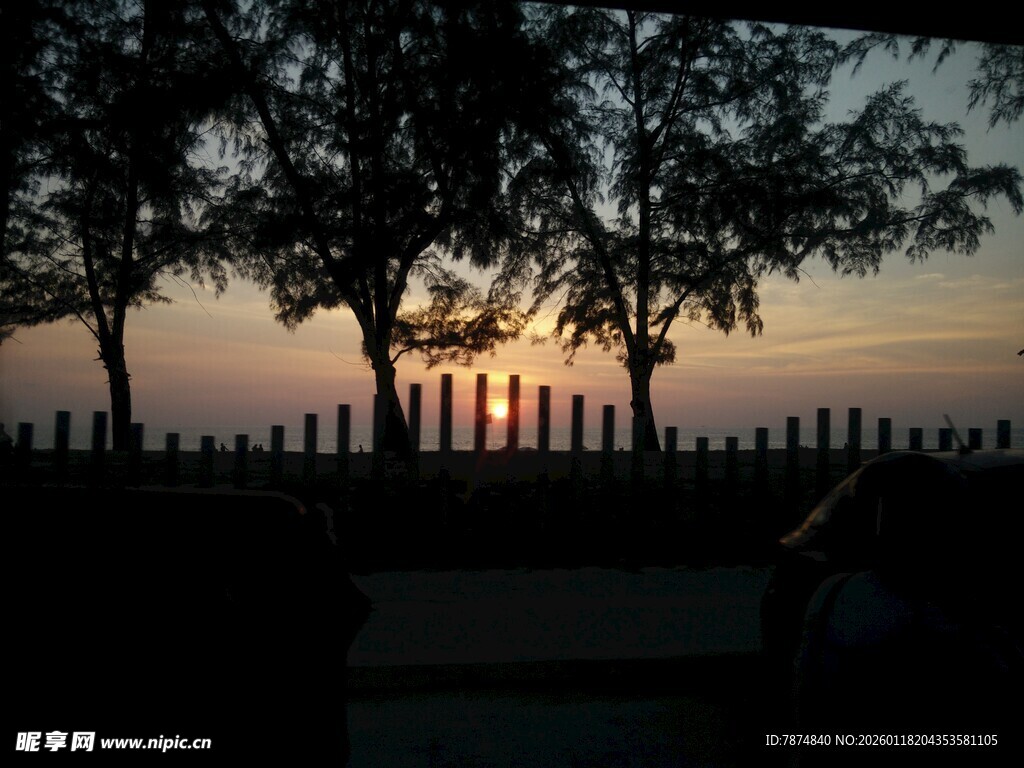 夕阳下的树木与围栏美景