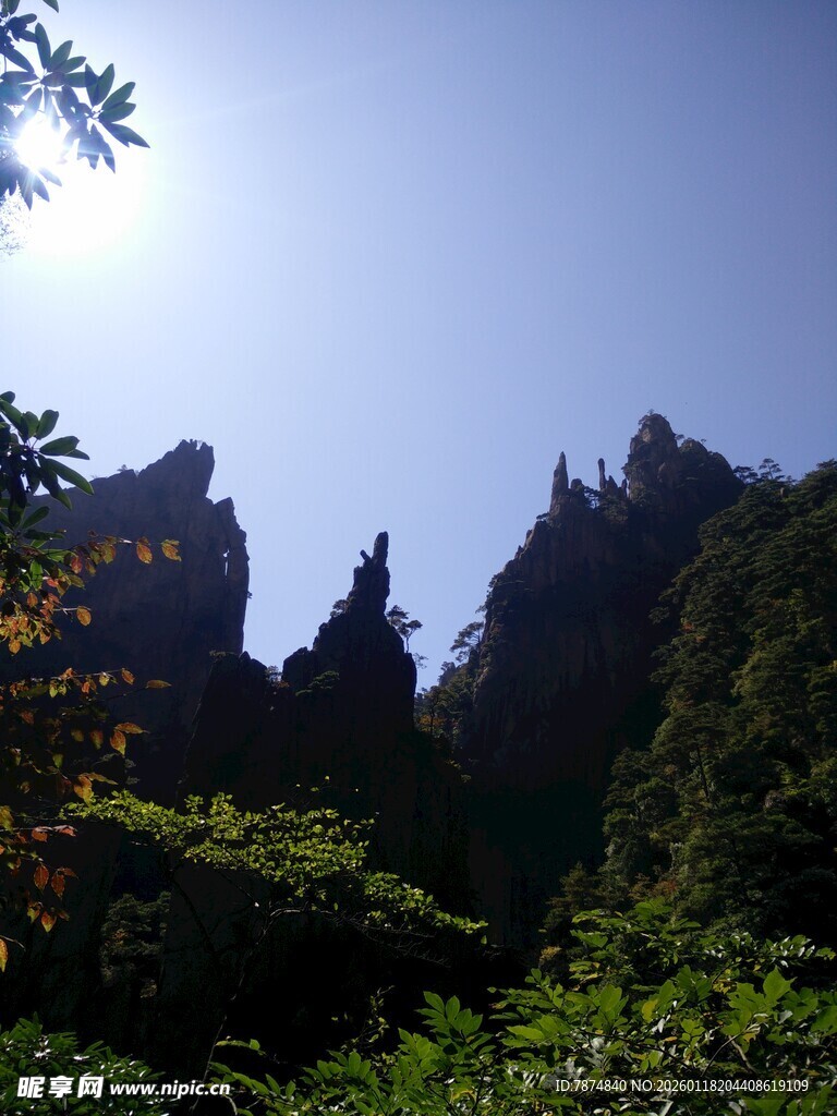 奇峰耸立的山林美景