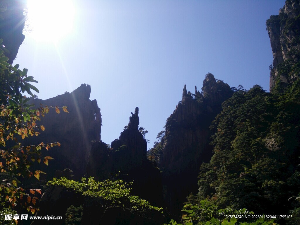 阳光照耀下的峻峭山林