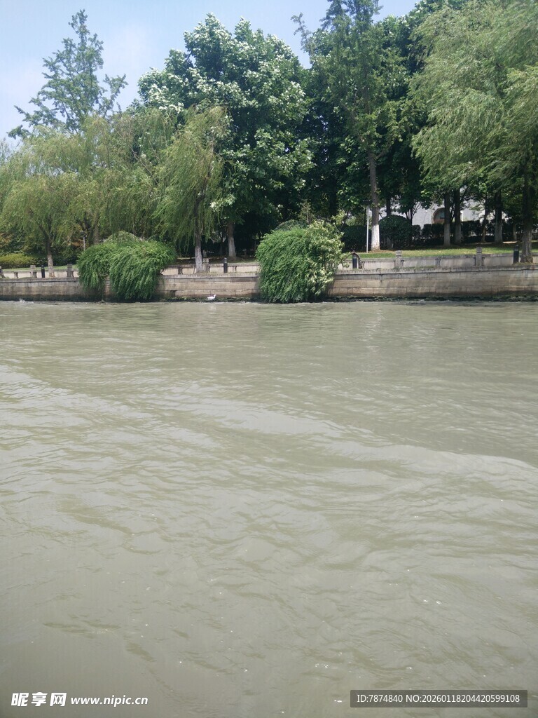 河畔绿树环绕的平静水面