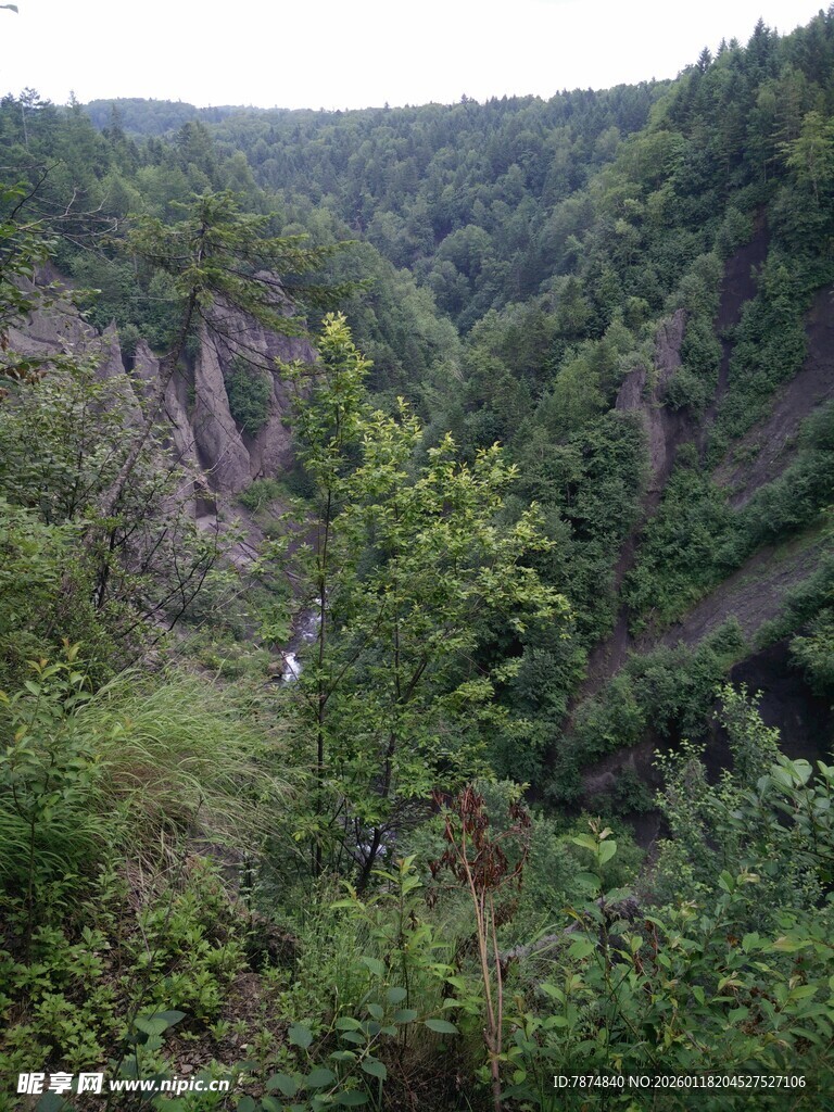 山间葱郁峡谷景观