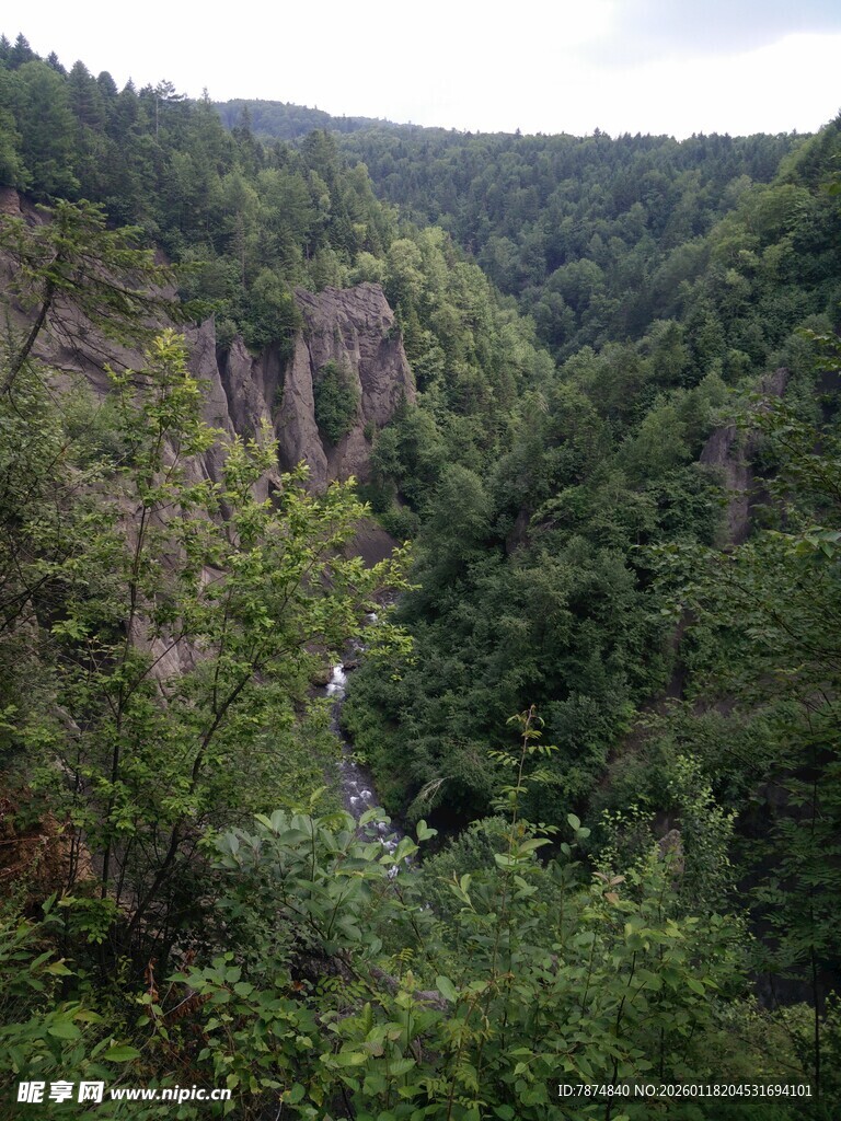 山间峡谷绿意盎然景观