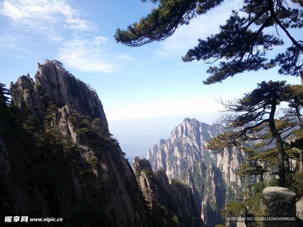 黄山奇峰与苍松美景