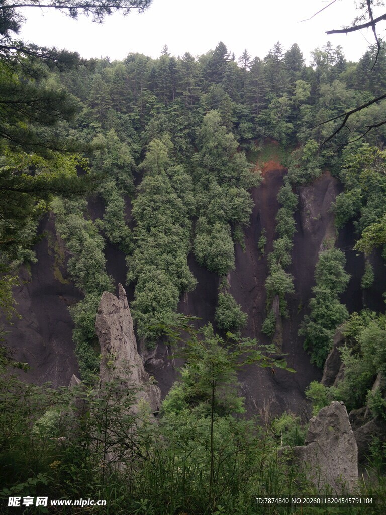 壮观山林景观