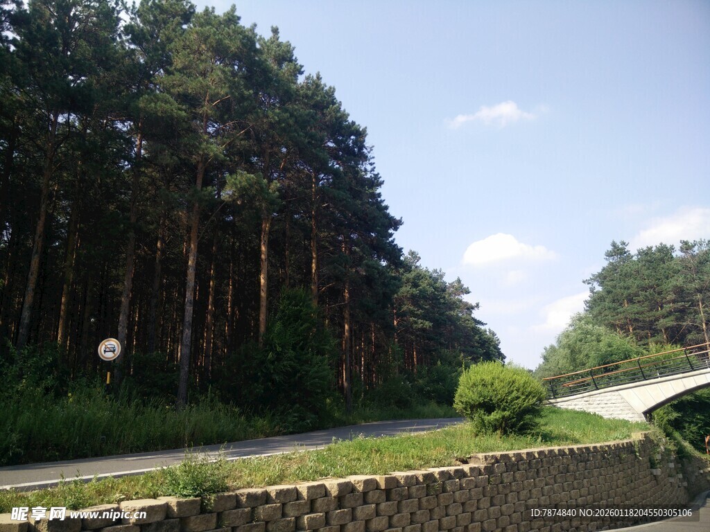 林间公路风景