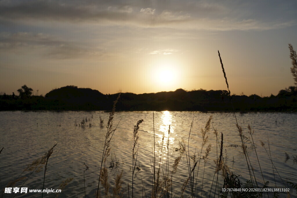 夕阳下波光粼粼的水域