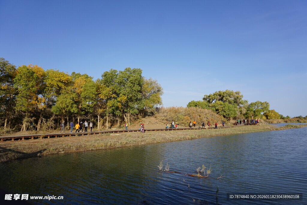 秋日河畔美景
