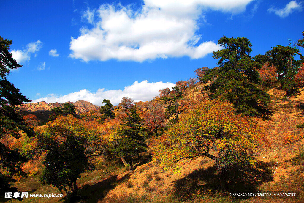 秋日山林美景