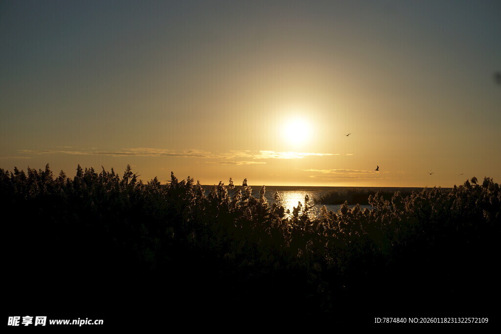 夕阳下的河畔风景