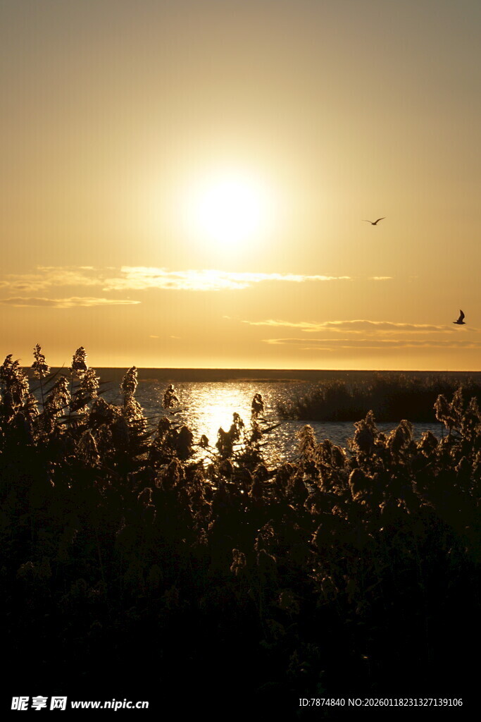 夕阳下的湖畔美景