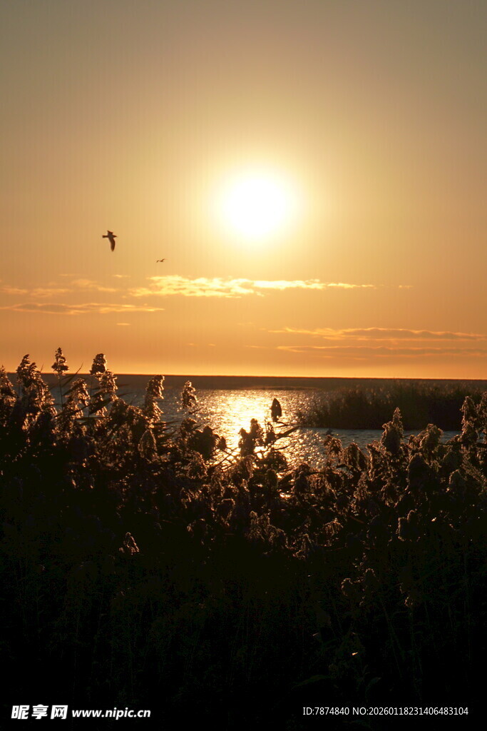 夕阳下的湖畔剪影美景