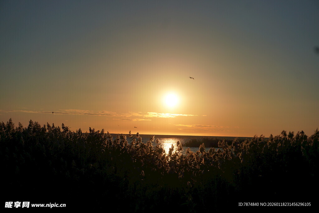 夕阳下的湿地美景