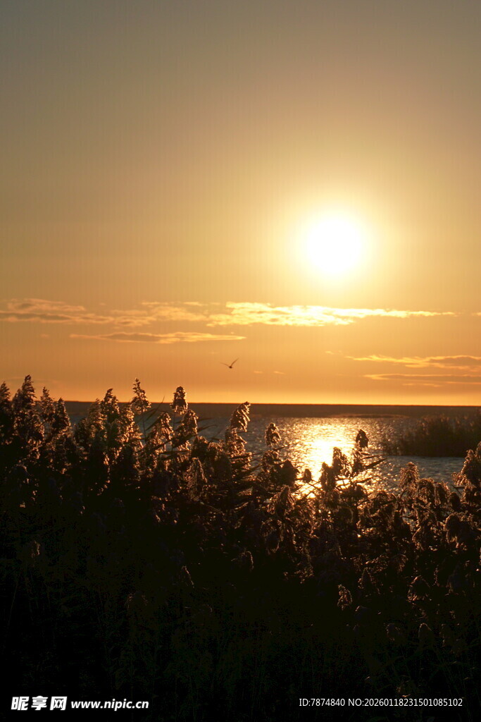 夕阳下的湖畔美景