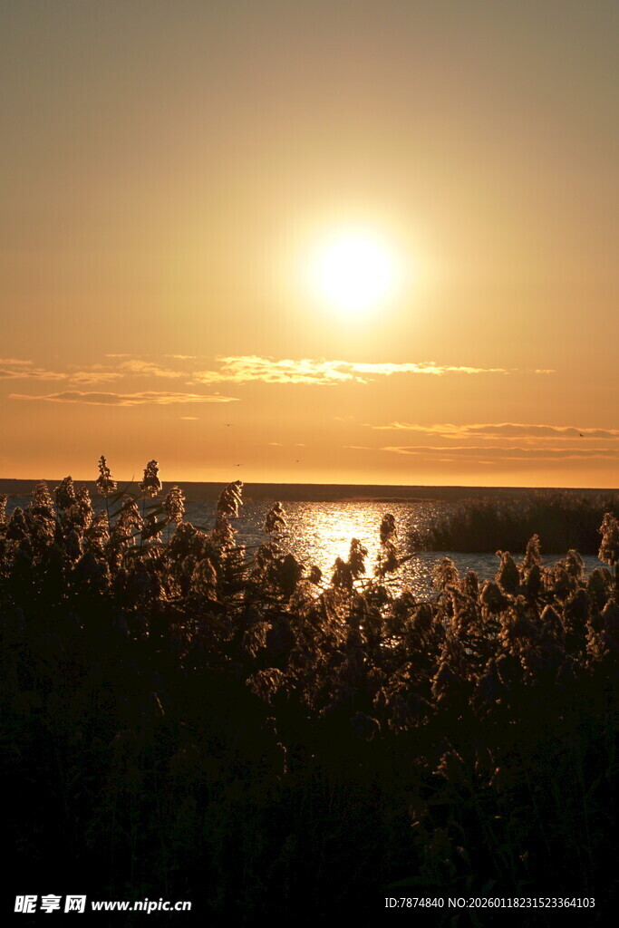 夕阳下的水边宁静美景