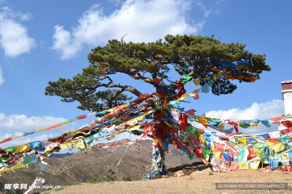 高原经幡树旁的独特风景