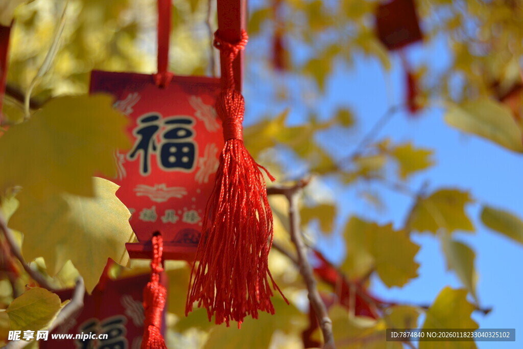 树枝上的福字挂饰
