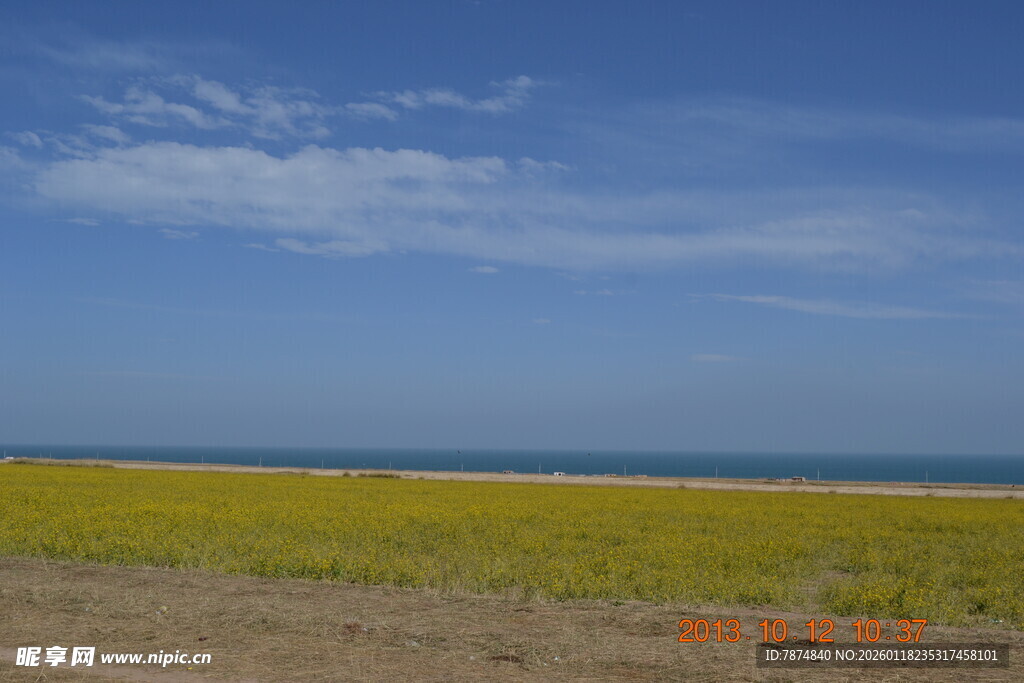 蓝天绿地旁的广阔海岸线