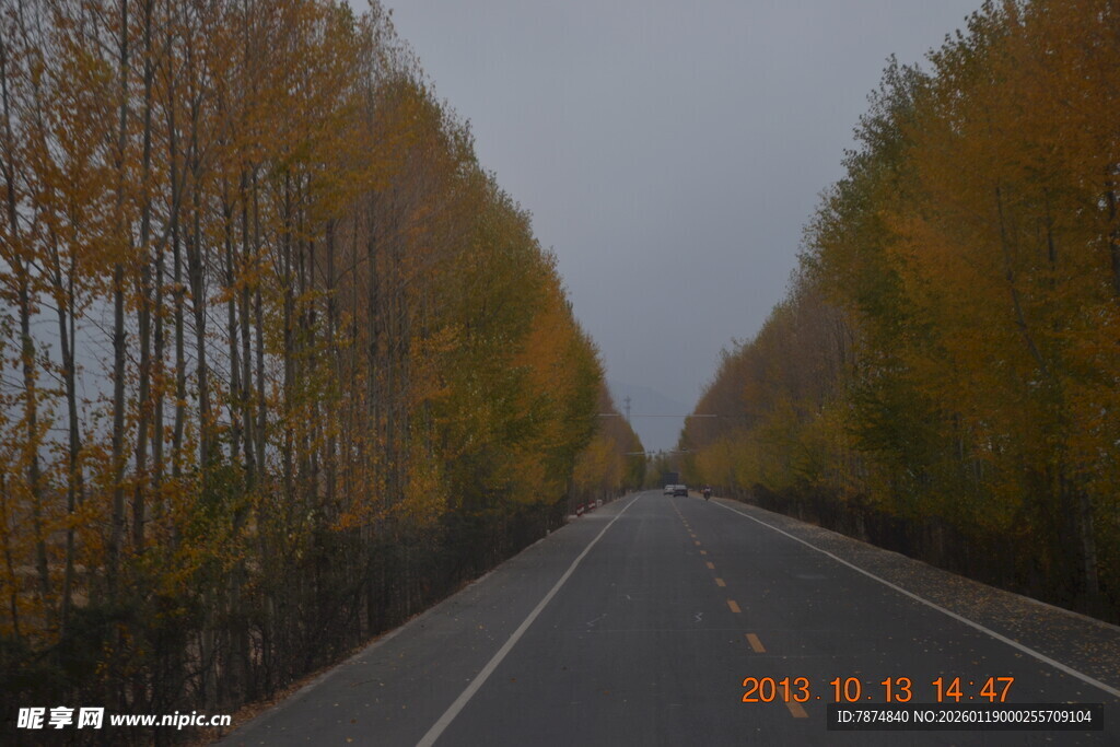 秋日林间公路美景