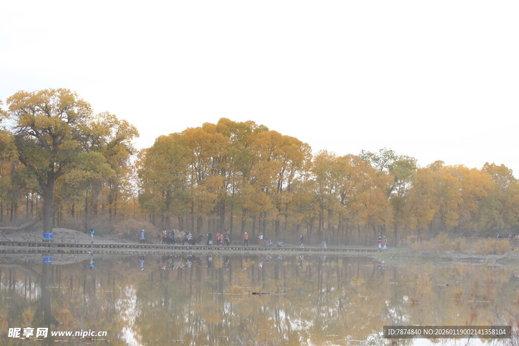 秋日湖畔树林倒影美景