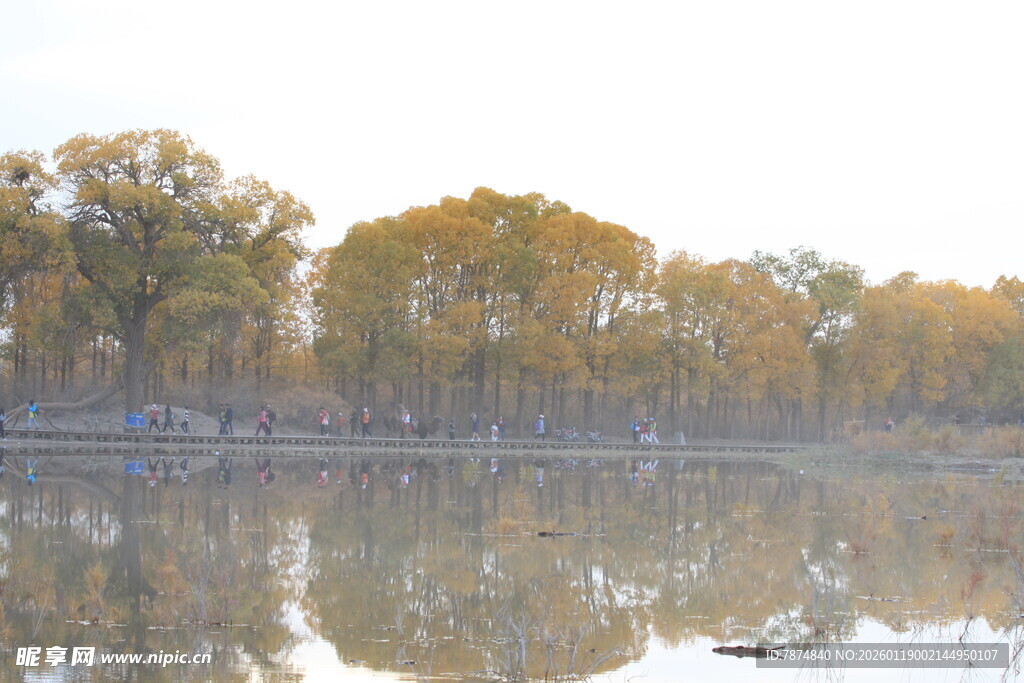 秋日湖畔美景