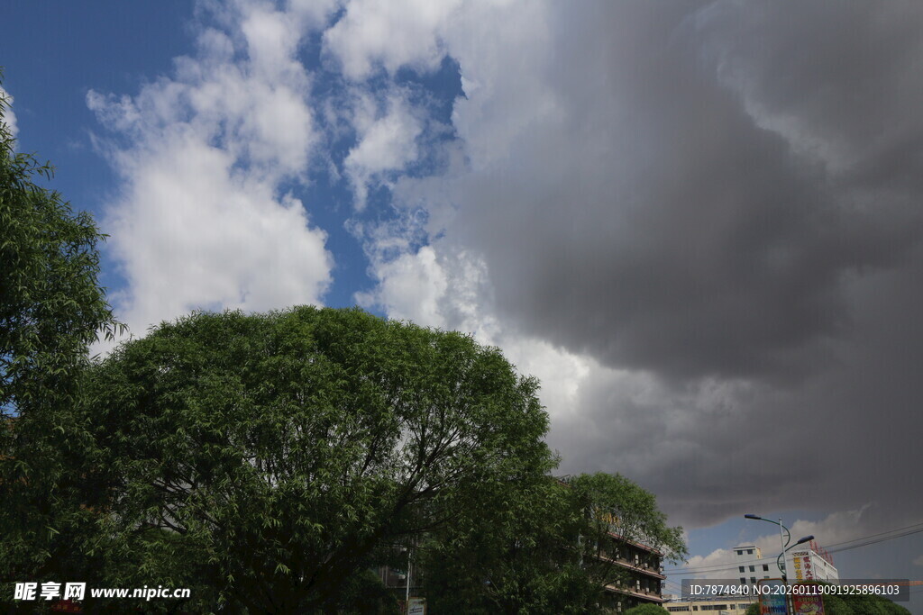 暴雨前夕的城市绿树天空