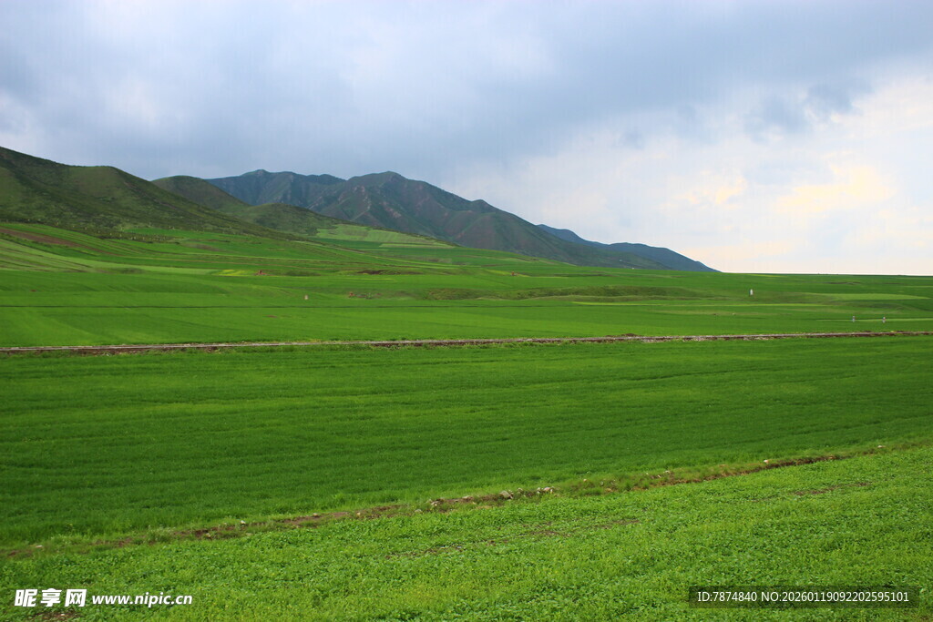 草原绿野与远山的景致