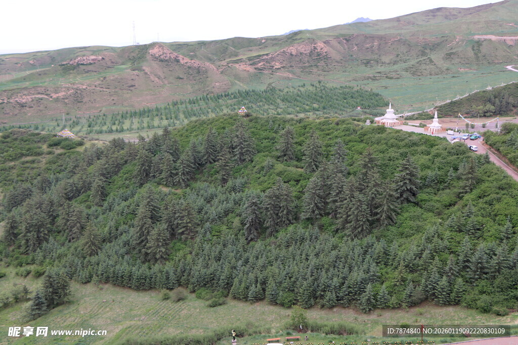 山间葱郁树林风景图