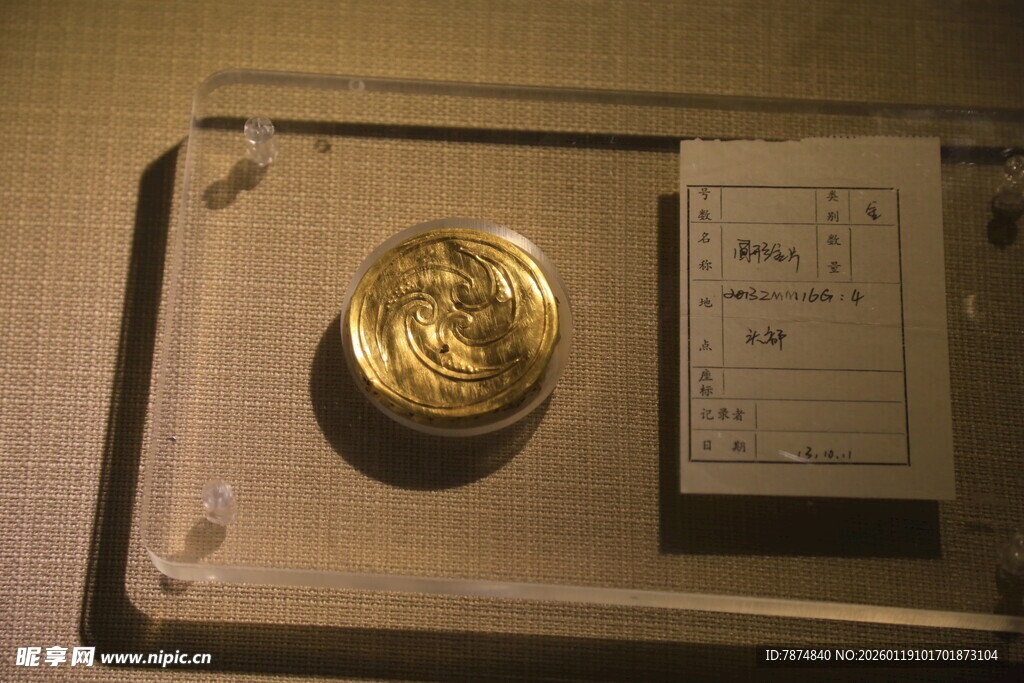 金色古币展示