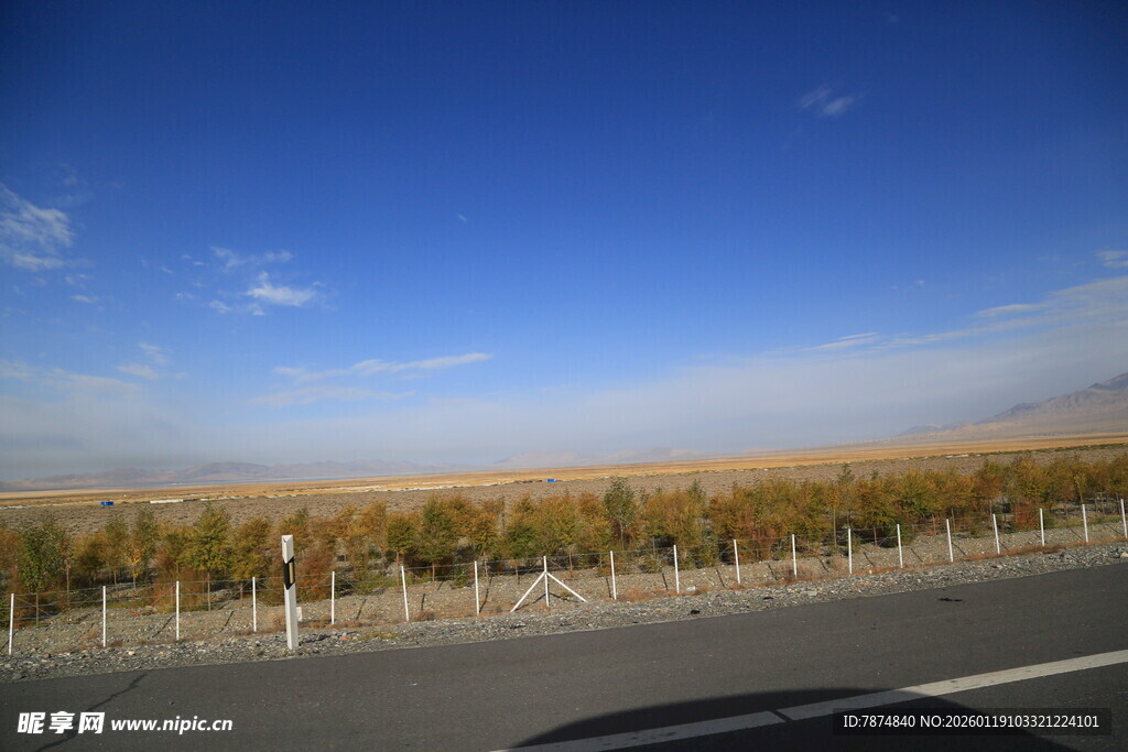 公路边的开阔田野风光