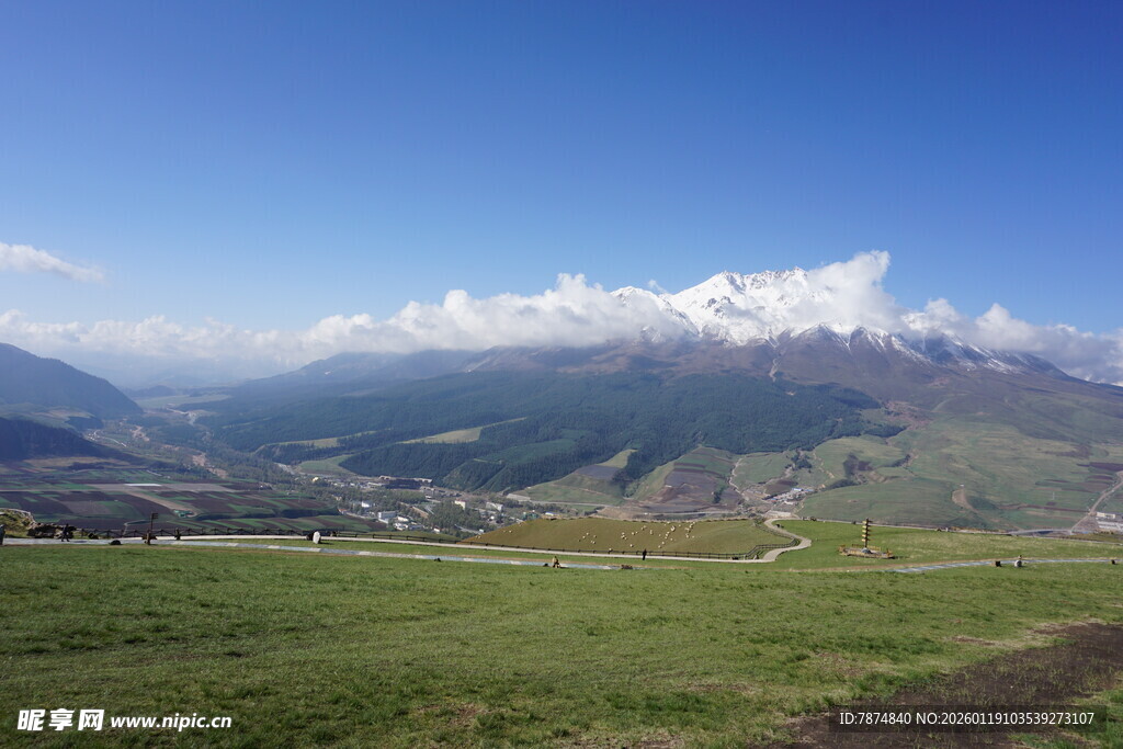 高山草甸美景