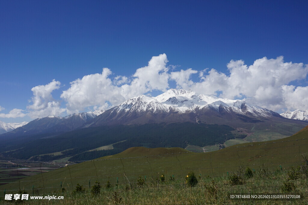 壮丽雪山与蓝天绿地景观