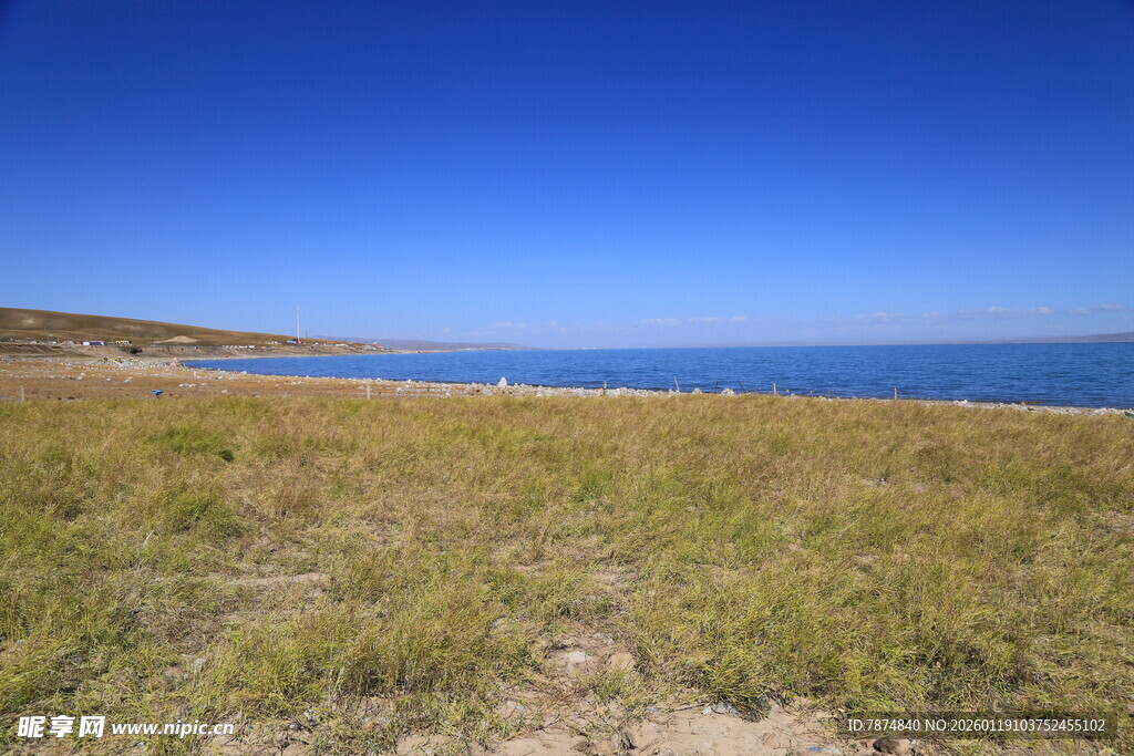 草原与海的辽阔景致