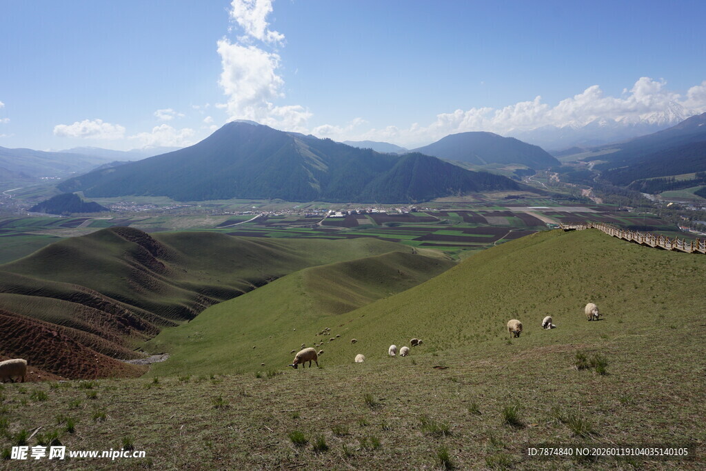 草原山峦间的牧羊景致