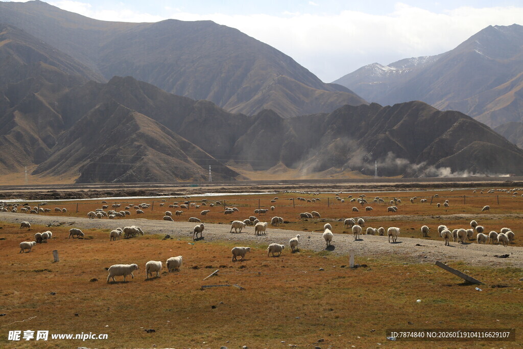 山间草原羊群风景