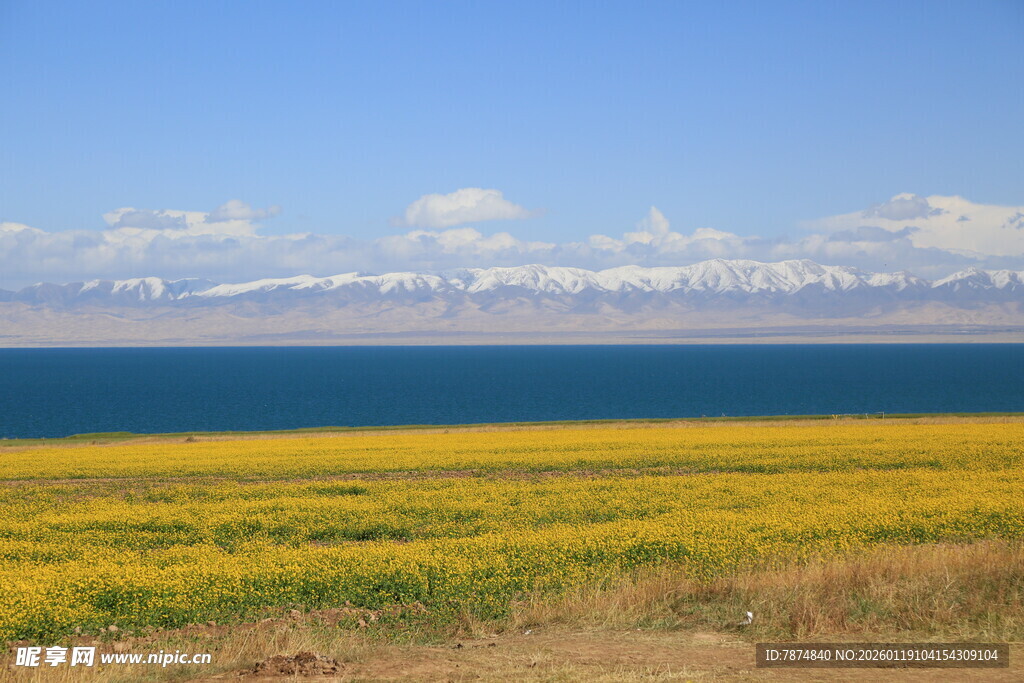 湖畔金黄花海与远山美景