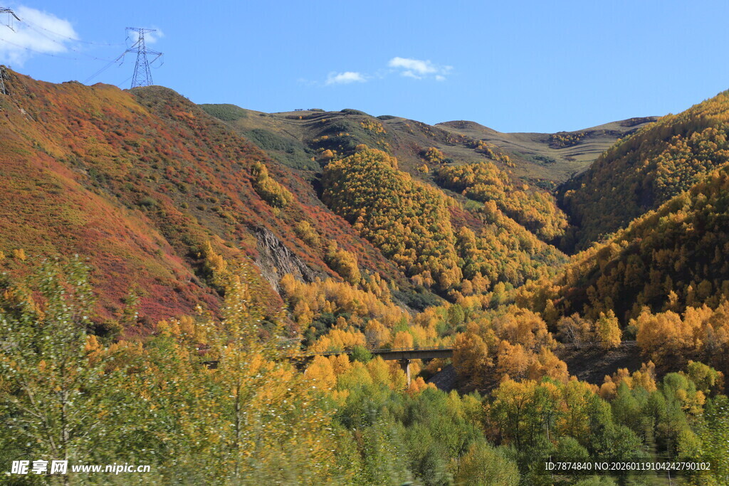 秋日山谷斑斓美景