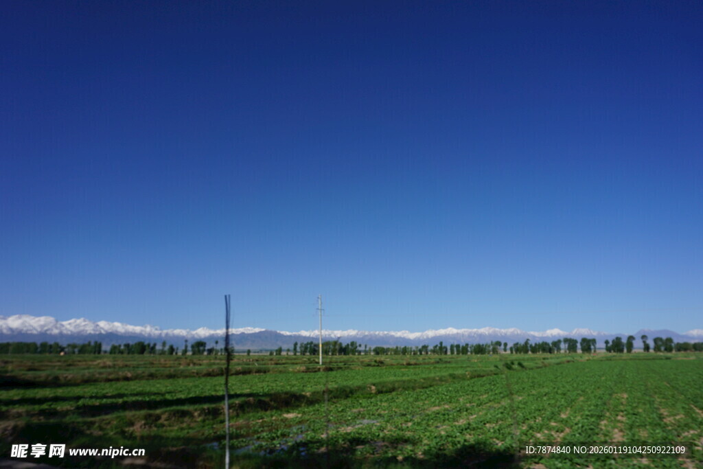 广阔田野与蓝天的乡村景致