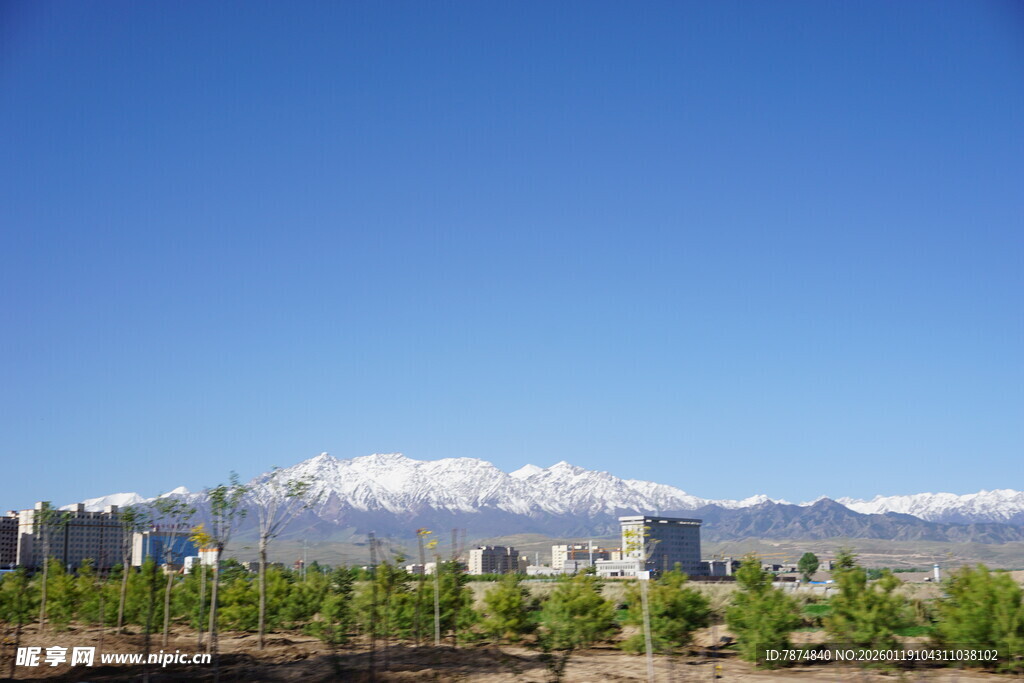 雪山下的绿植景观